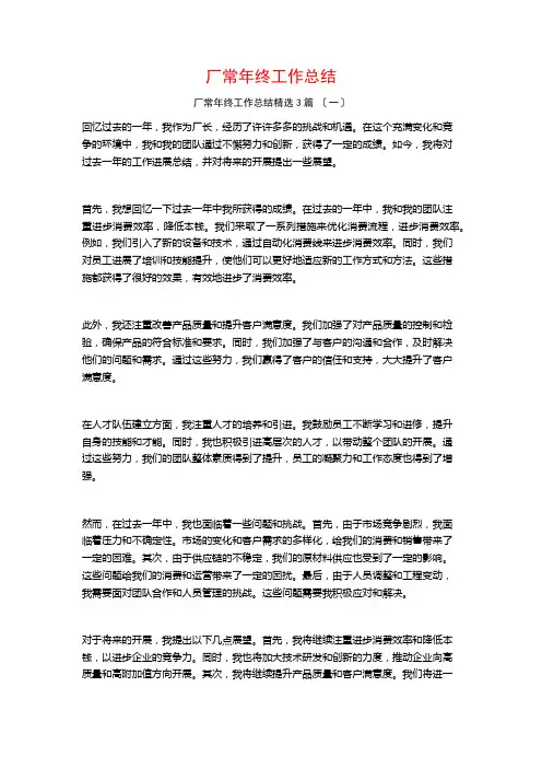 厂长年终工作总结3篇