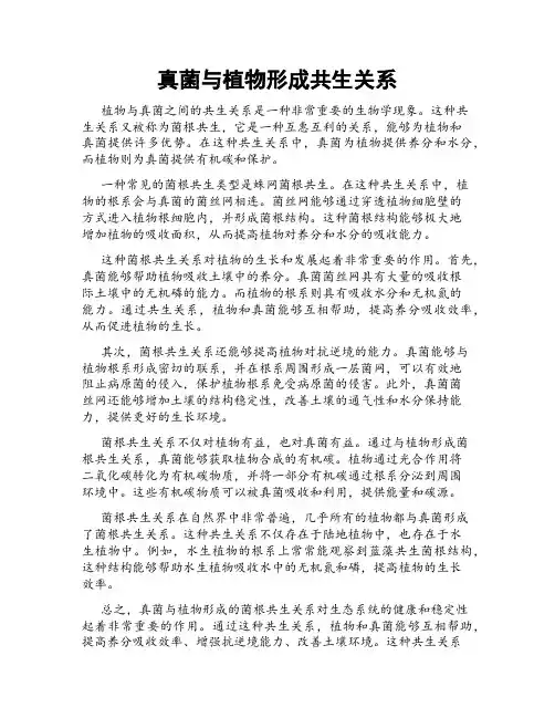 真菌与植物形成共生关系