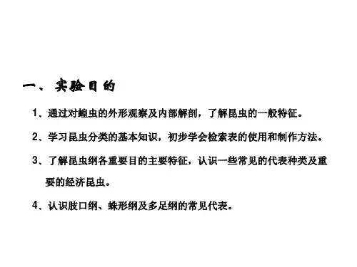 基础生物学实验课程实验7蝗虫的形态结构和昆虫纲的分类课件