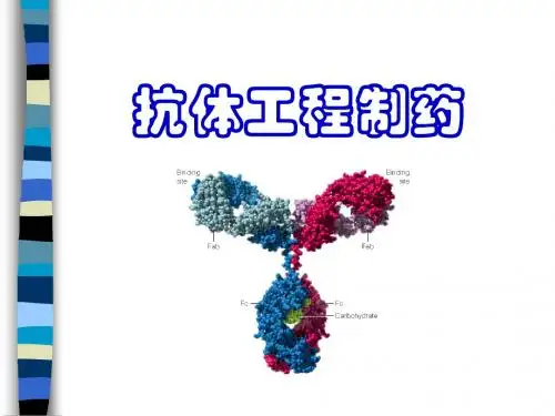 抗体工程制药