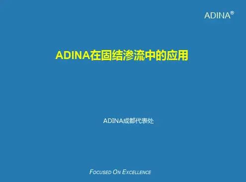 ADINA固结渗流处理方法及案例