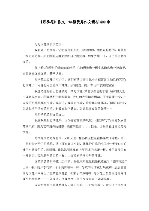 《月季花》作文一年级优秀作文素材400字