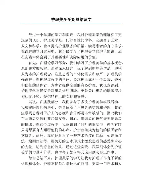 护理美学学期总结范文