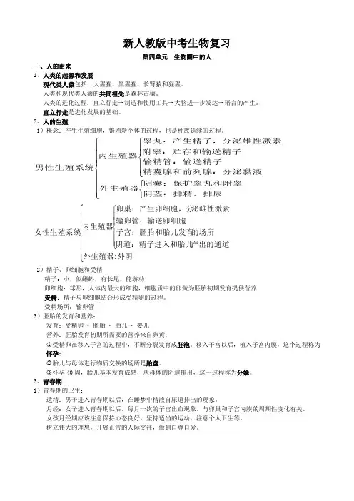 新人教版中考生物复习第四单元生物圈中的人