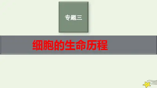 老高考新教材适用2023版高考生物二轮复习专题3细胞的生命历程pptx课件