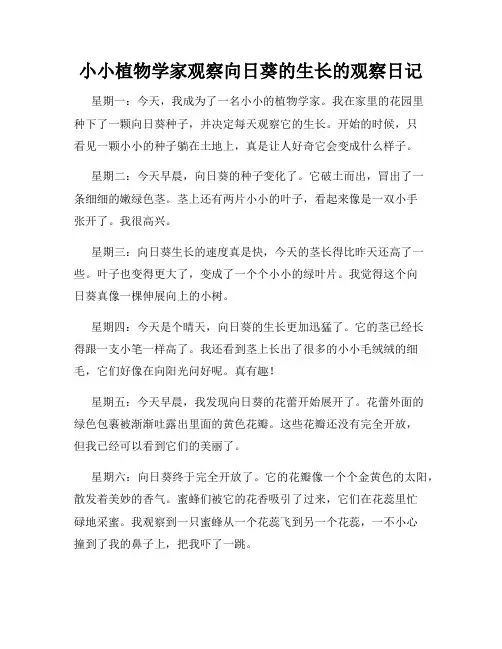 小学三年级作文小小植物学家观察向日葵的生长的观察日记