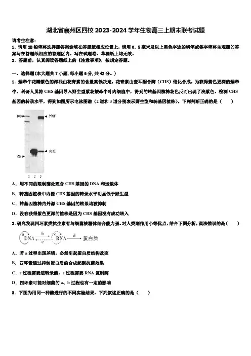 湖北省襄州区四校2023-2024学年生物高三上期末联考试题含解析
