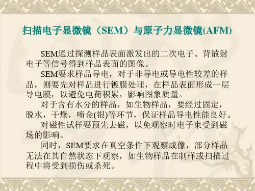 扫描电子显微镜(SEM)与原子力显微镜(AFM)