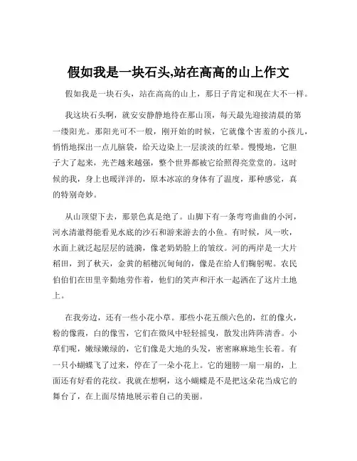 假如我是一块石头,站在高高的山上作文