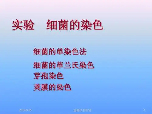 实验 细菌的染色.ppt