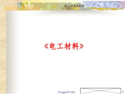电工材料PPT课件