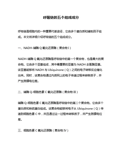 呼吸链的五个组成成分