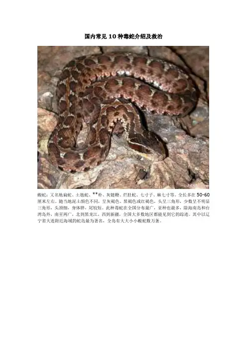 国内常见10种毒蛇介绍及救治