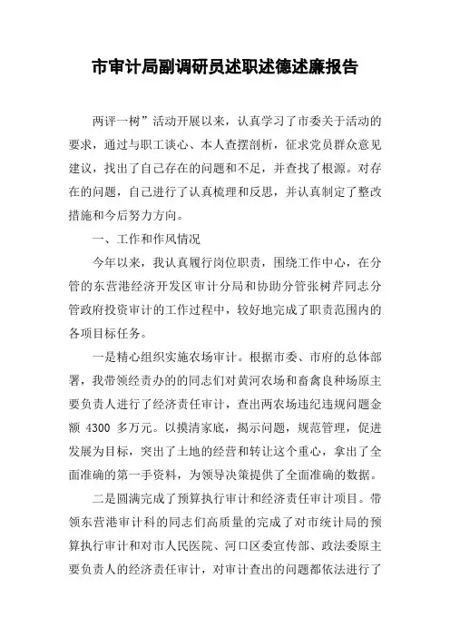 市审计局副调研员述职述德述廉报告