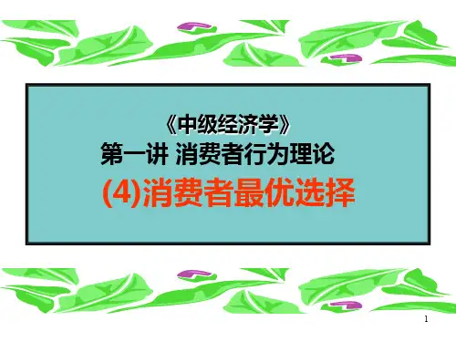 第一讲消费者行为理论选择PPT课件