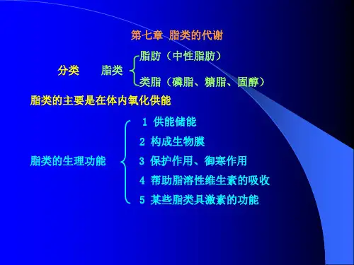 生化(脂类的代谢)