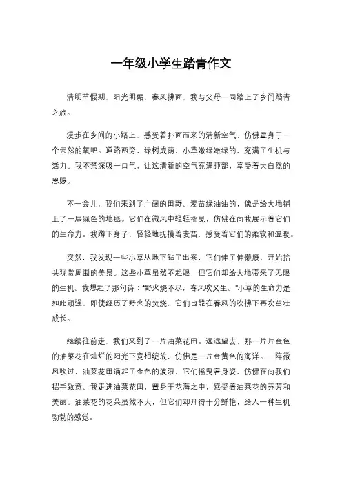 一年级小学生踏青作文