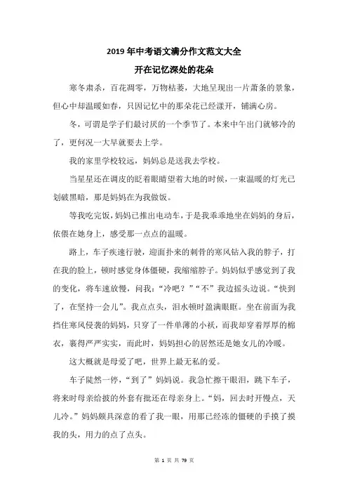 2019年中考语文满分作文范文大全
