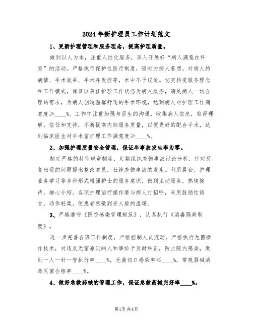 2024年新护理员工作计划范文（二篇）