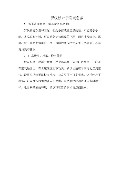 罗汉松叶子发黄急救