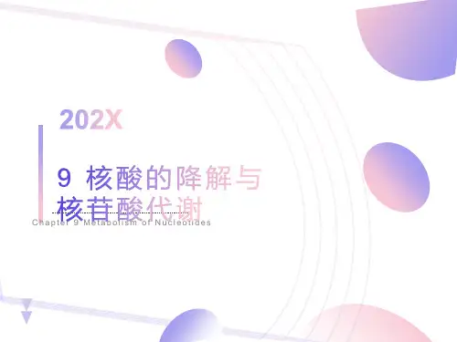 核酸的降解与核苷酸代谢9MetabolismofNucl