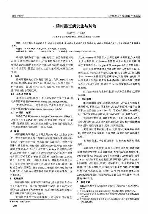 杨树黑斑病发生与防治