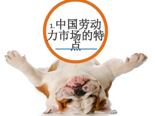 中国的劳动力市场ppt课件