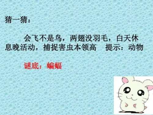 11《蝙蝠和雷达》ppt课件【20页】