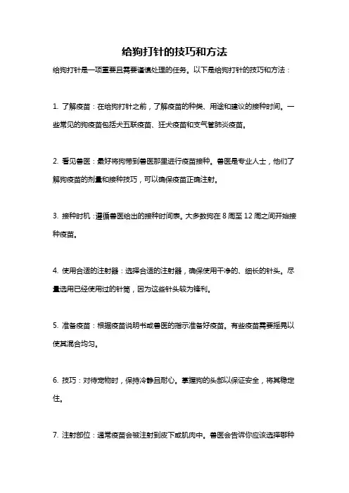 给狗打针的技巧和方法