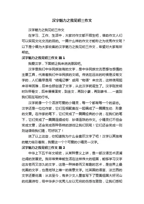 汉字魅力之我见初三作文