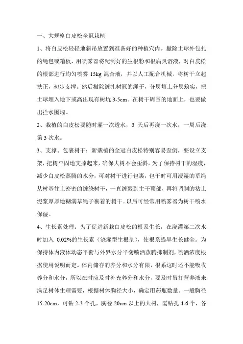 白皮松的全冠栽植