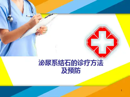 泌尿系结石的基本常识健康教育讲课用ppt课件