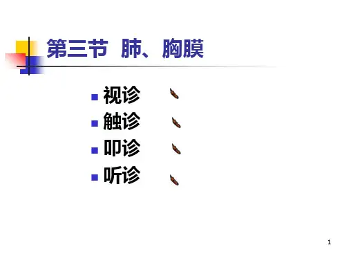 最新第五章胸部检查-PPT文档