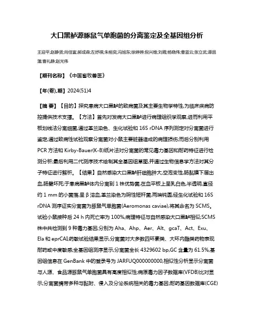 大口黑鲈源豚鼠气单胞菌的分离鉴定及全基因组分析