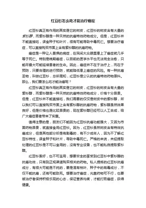 红豆杉怎么吃才能治疗癌症