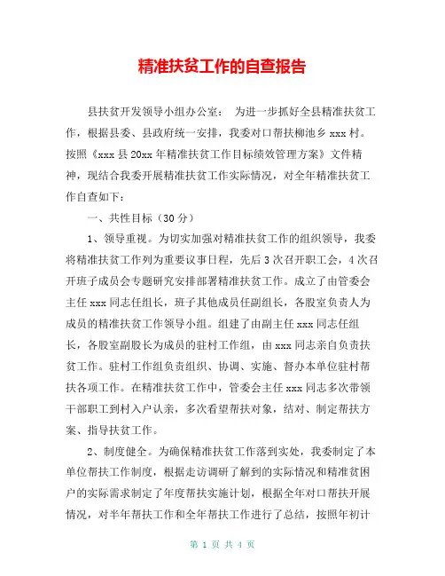 精准扶贫工作的自查报告