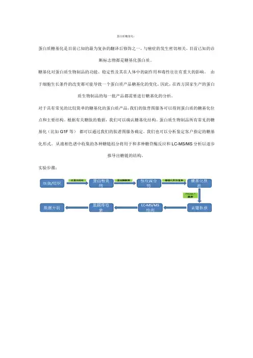 蛋白质糖基化位点