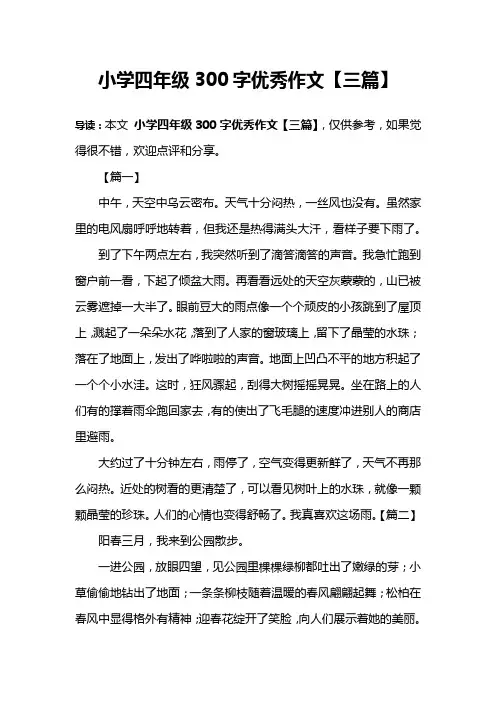 小学四年级300字优秀作文【三篇】