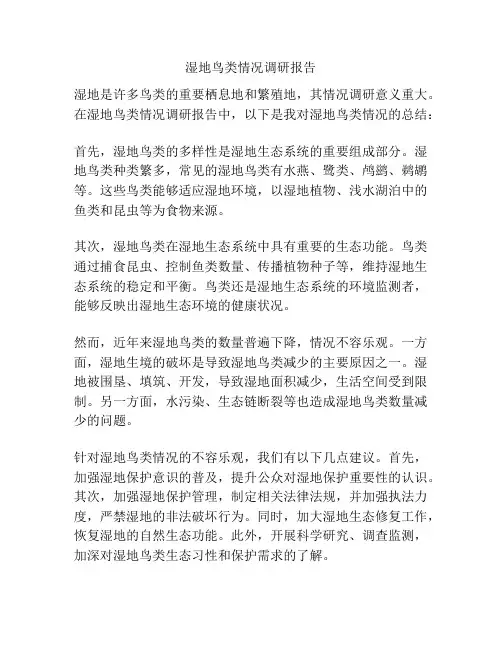 湿地鸟类情况调研报告