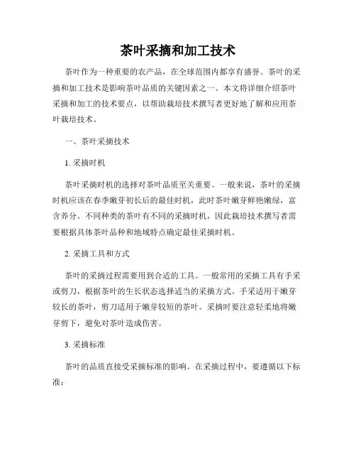 茶叶采摘和加工技术