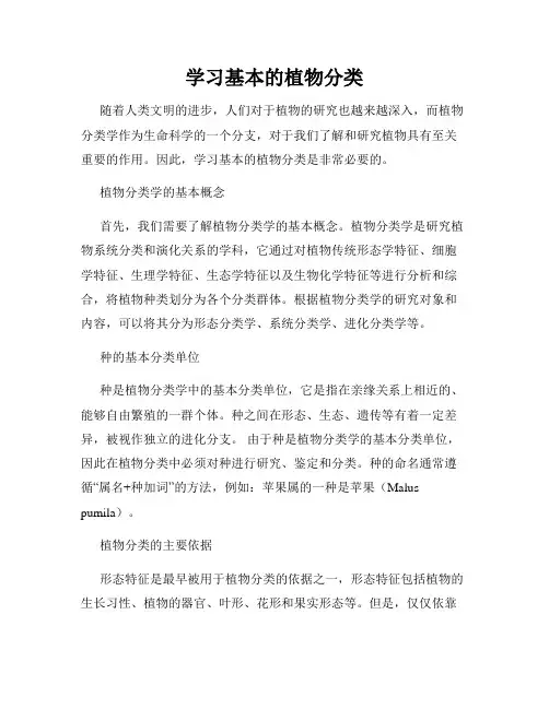 学习基本的植物分类