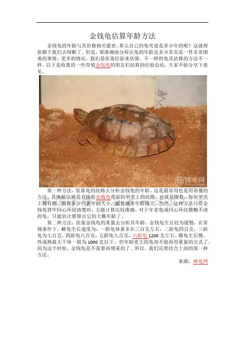 金钱龟估算年龄方法