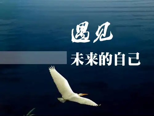 遇见未来的自己新版创业说明会PPT课件