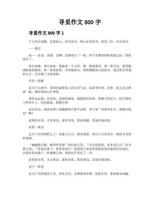 寻觅作文800字