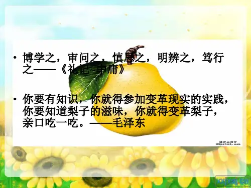 第七课_知行统一与体验成功