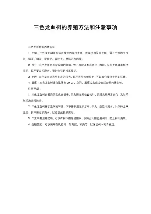 三色龙血树的养殖方法和注意事项