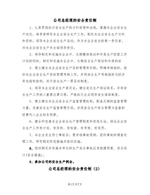 公司总经理的安全责任制（5篇）