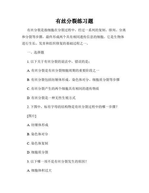 有丝分裂练习题