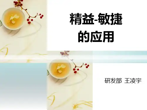 精益-敏捷软件开发方法 PPT课件