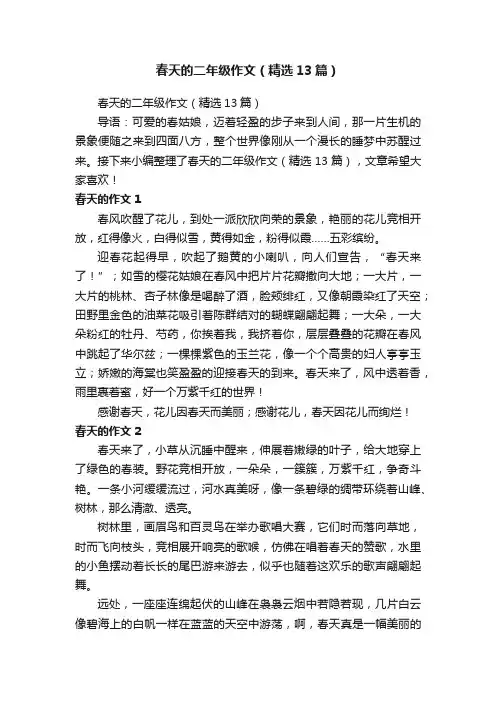 春天的二年级作文（精选13篇）
